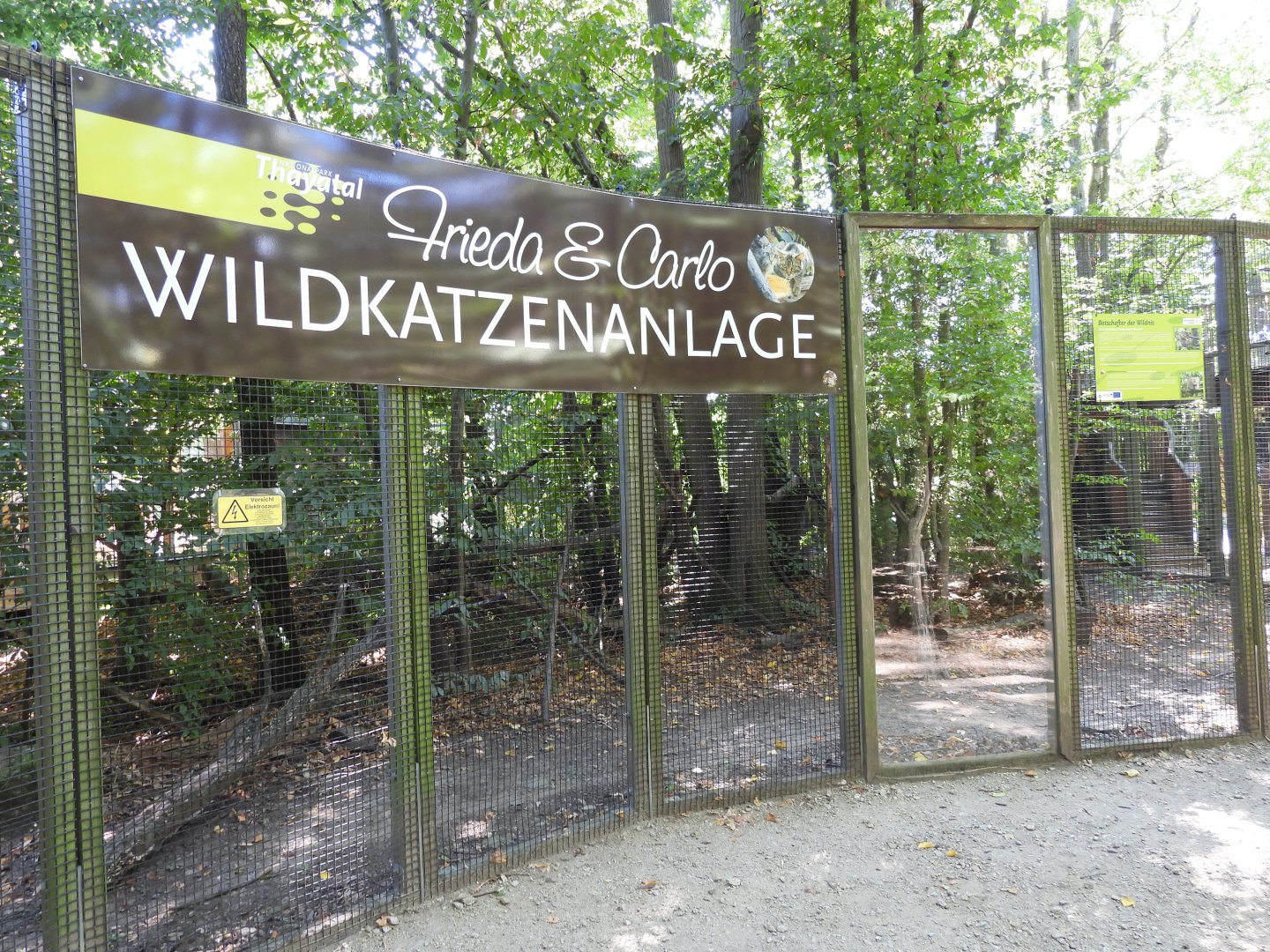 Wildcat exhibit at the national park house Thayatal