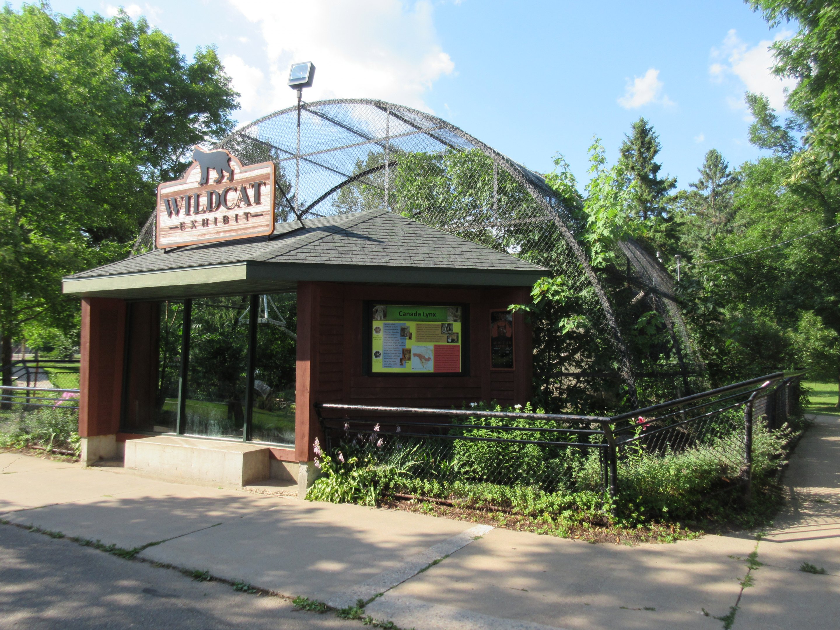 Wildcat Exhibit (either Bobcat or Canada Lynx)