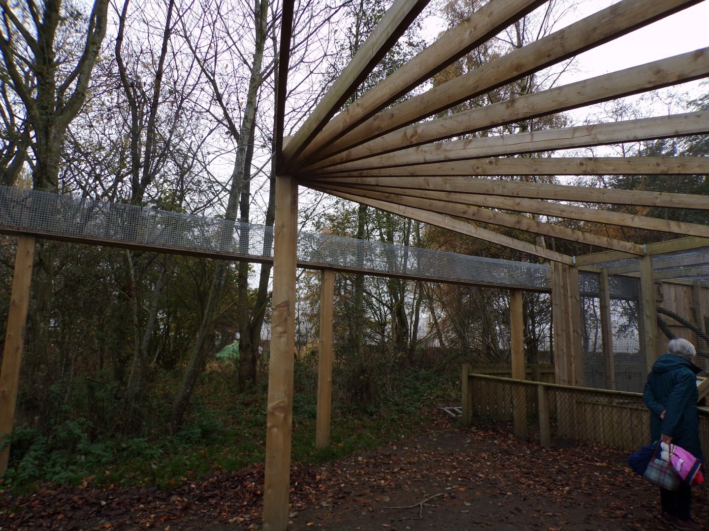 Wildcat overhead tunnel