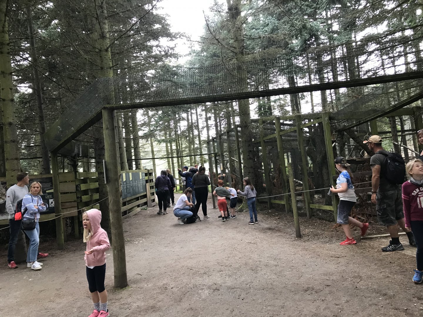 Wildcat overhead tunnels