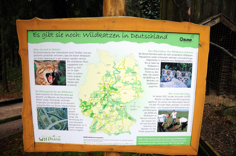 Wildcat sign at Wildpark Lüneburger Heide