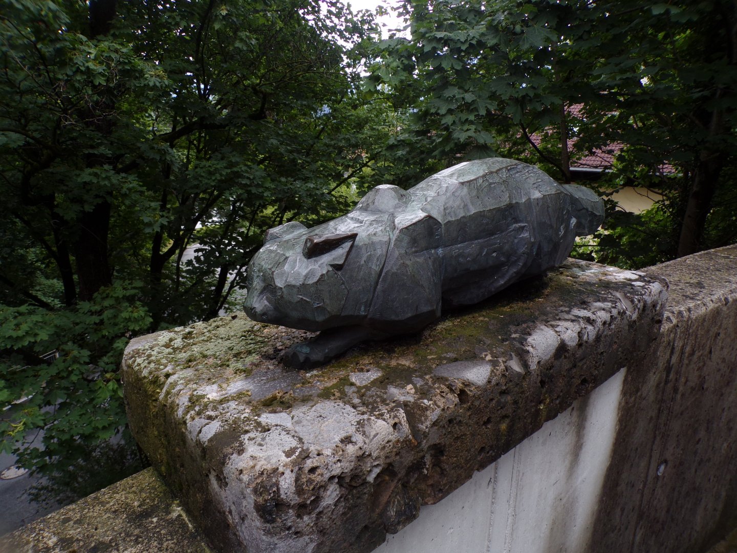 Wildcat statue 9.7.25