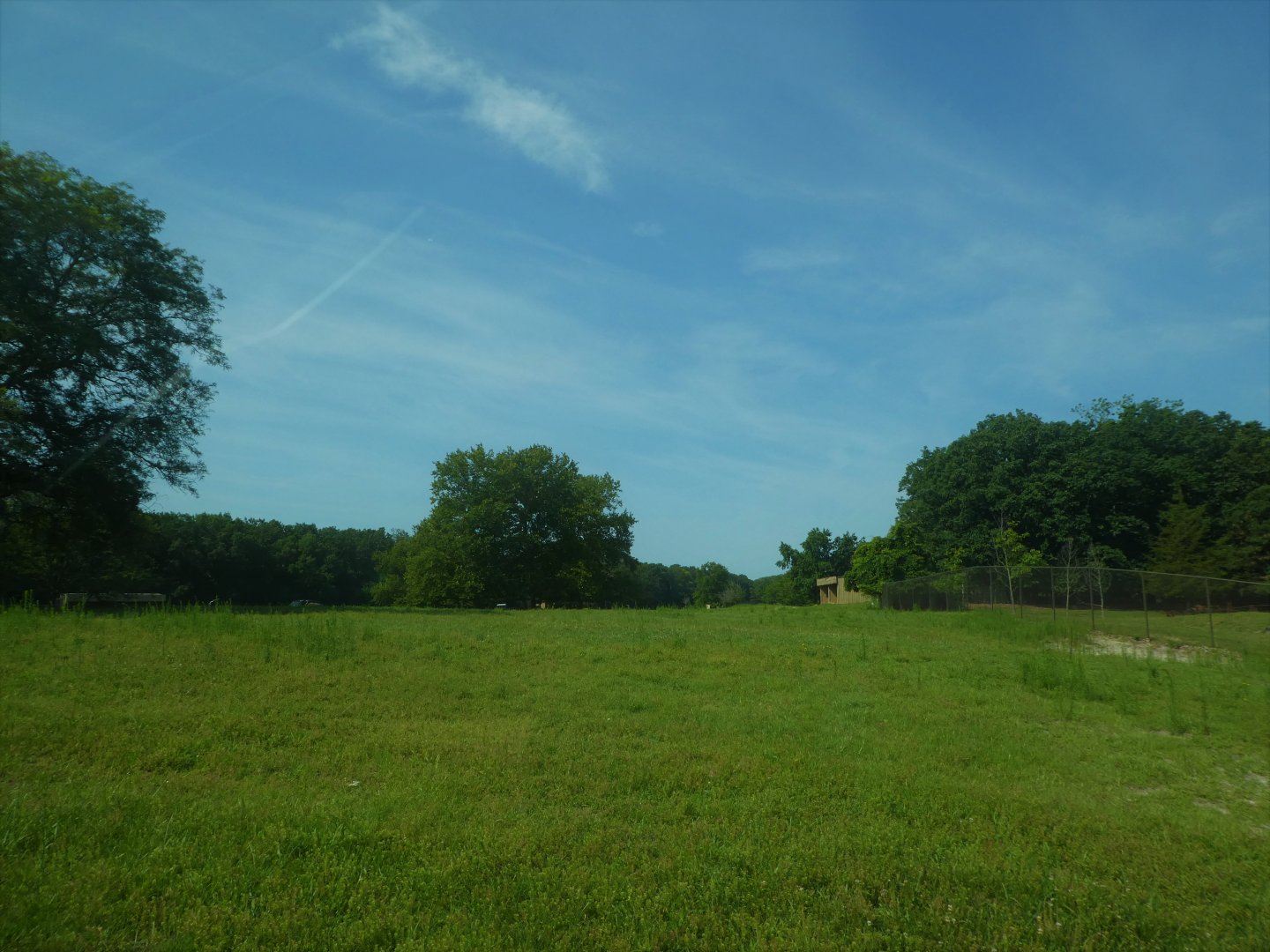 Wilde Plains - General View in the First Exhibit