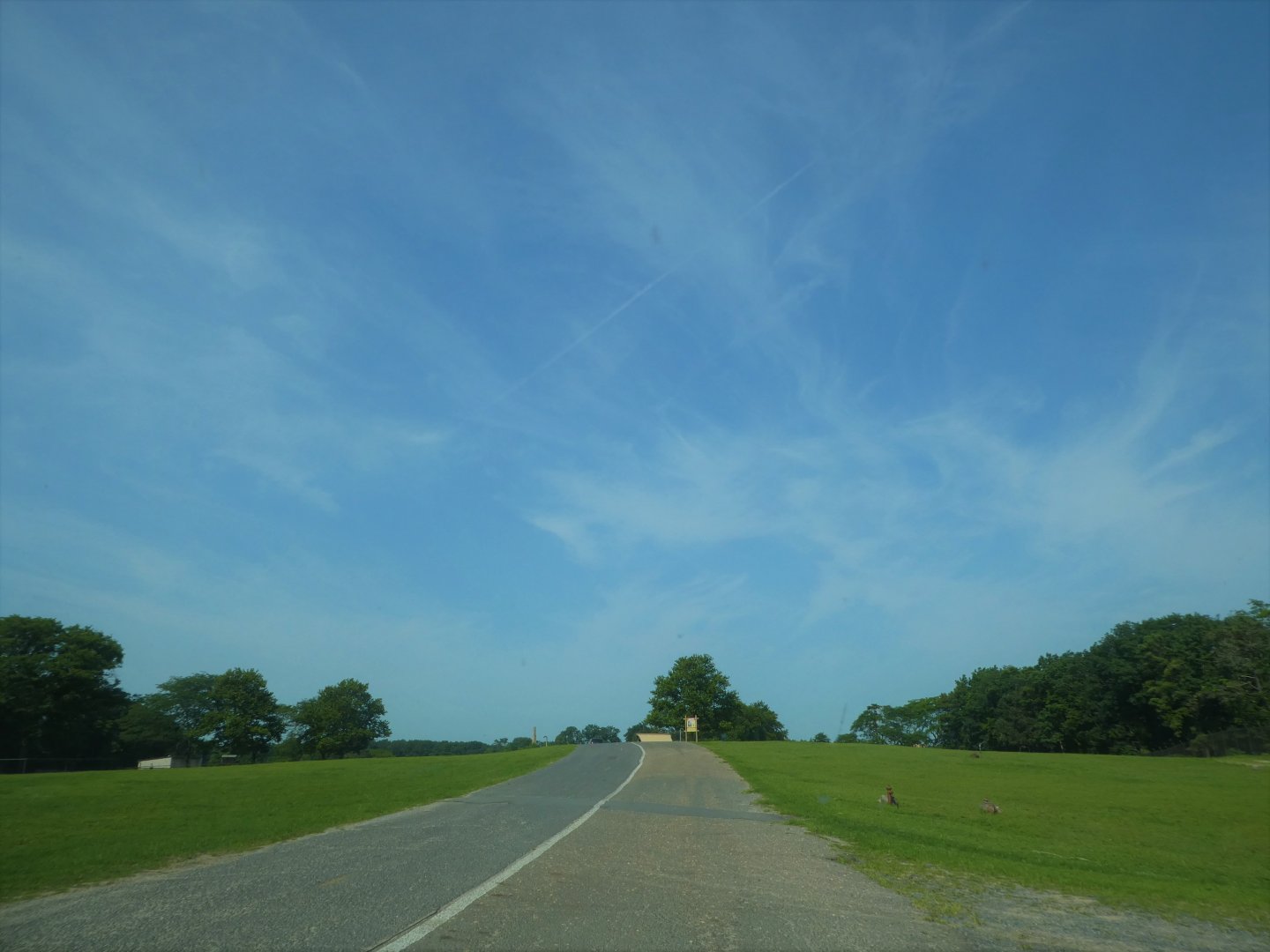 Wilde Plains - Generald View in the Second Exhibit