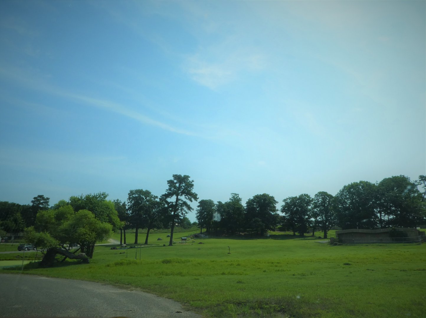 Wilde Plains Lowlands