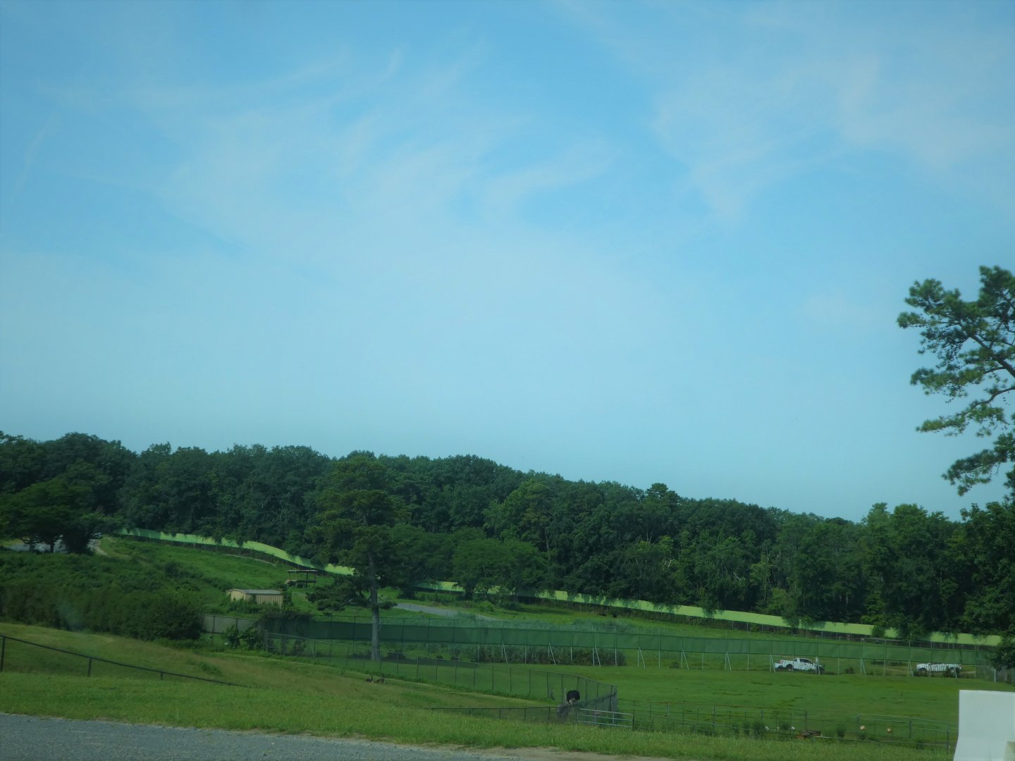 Wilde Plains - View to Lowlands