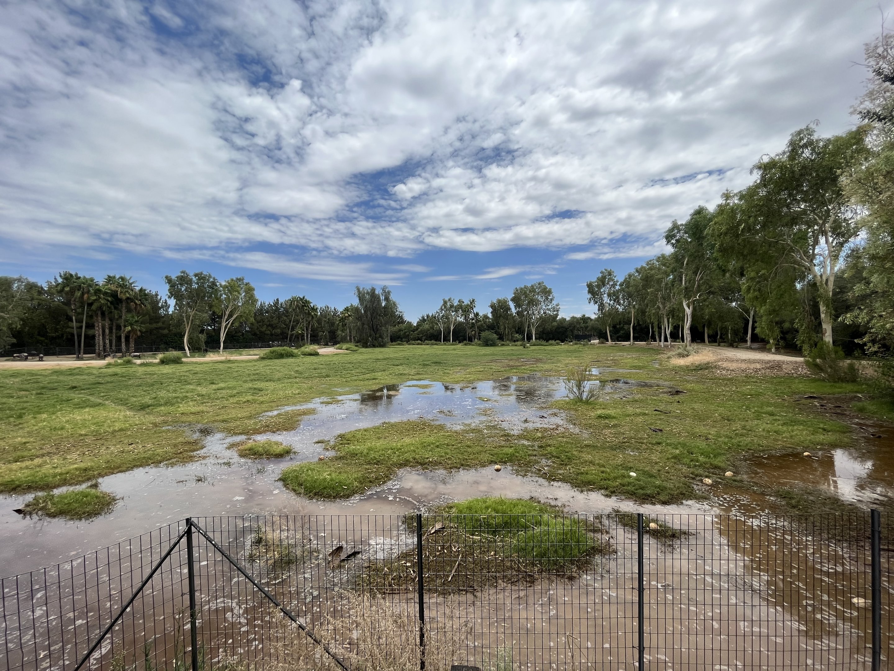 Wildebeest/Ostrich Exhibit