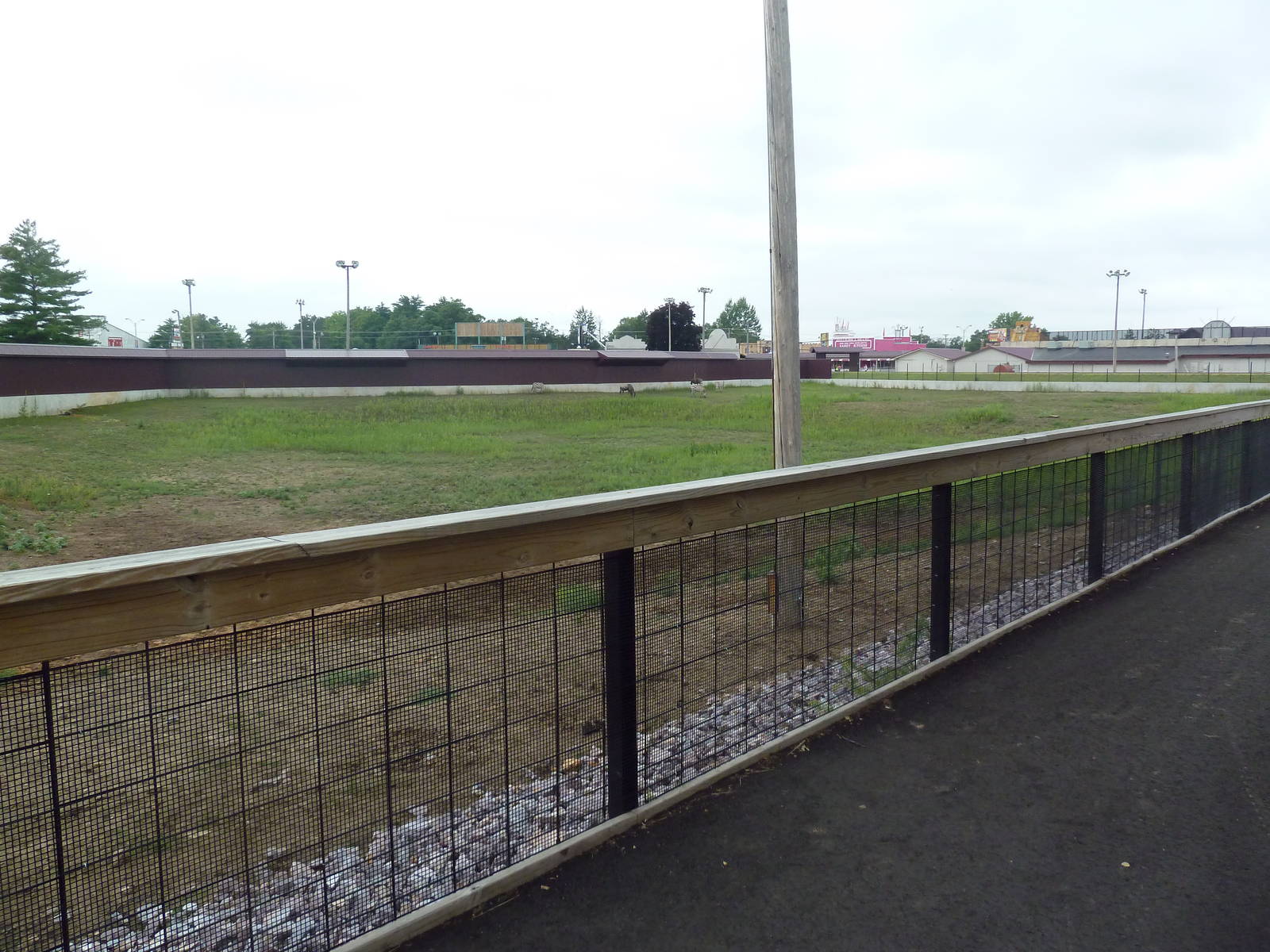 Wildebeest/Ostrich/Grant's Zebra Exhibit