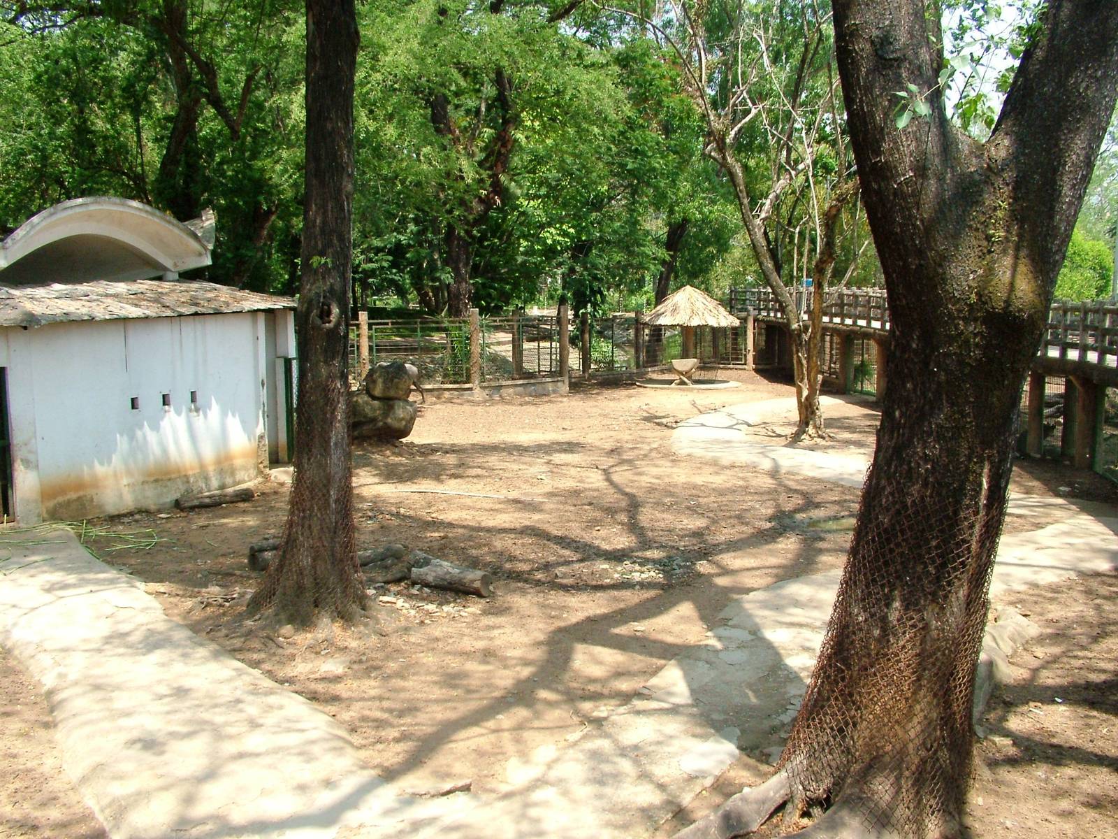 Wildebeest Paddock at Saigon Zoo, 16/03/12