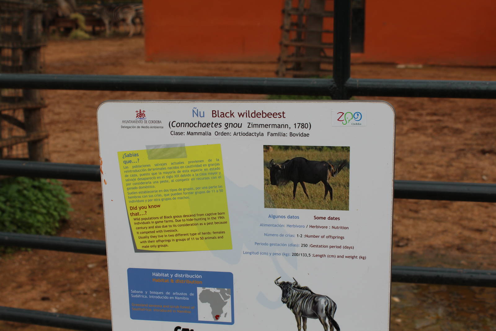 Wildebeest Signage - Jan 2014