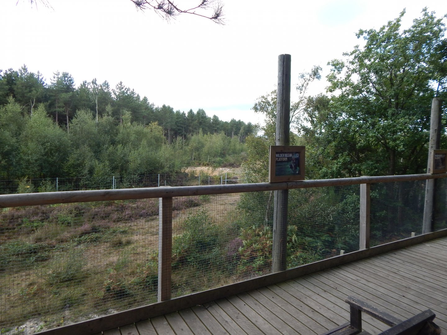 Wilder Blean Project 030924