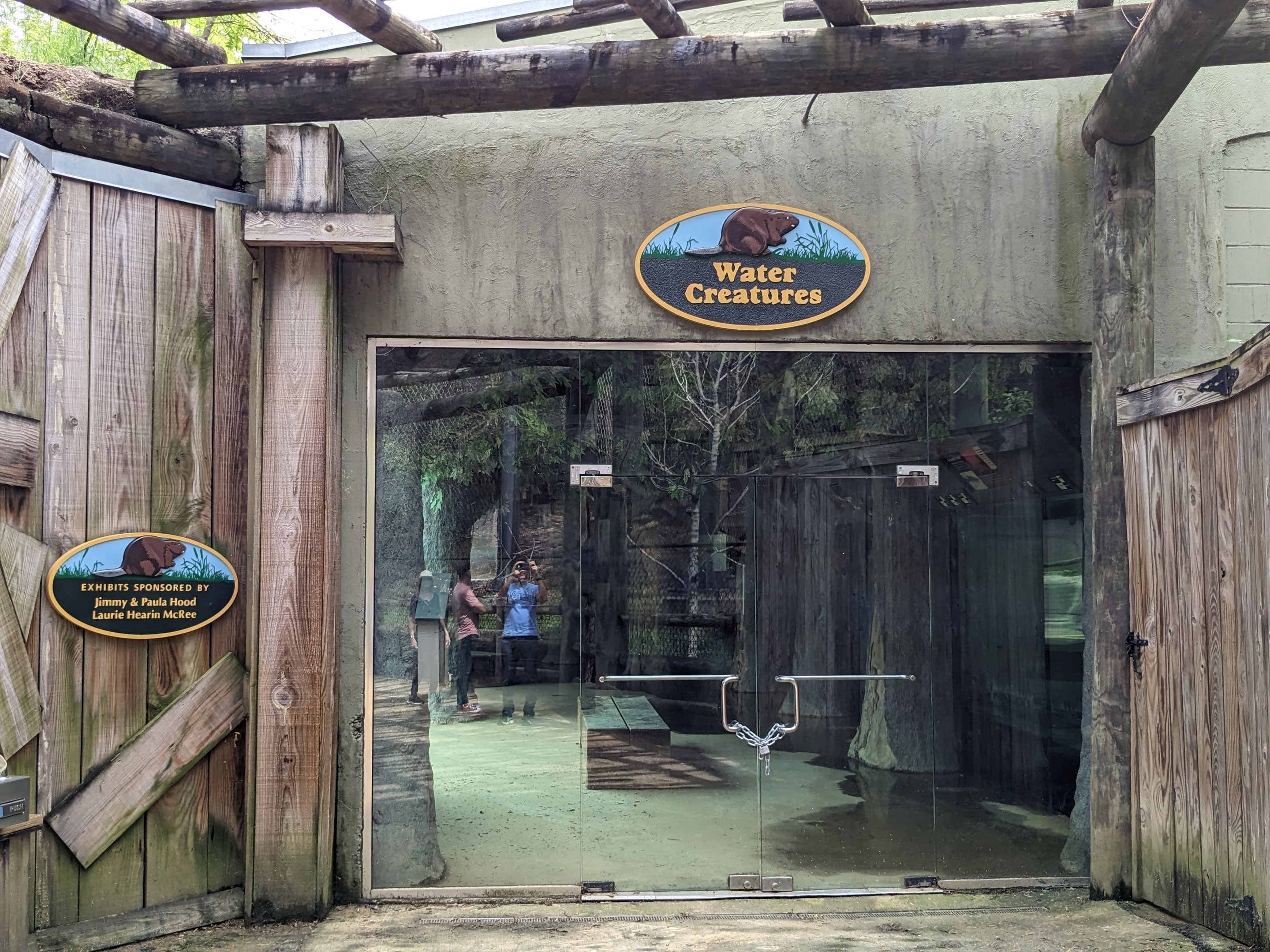 Wilderness Mississippi - Water creatures