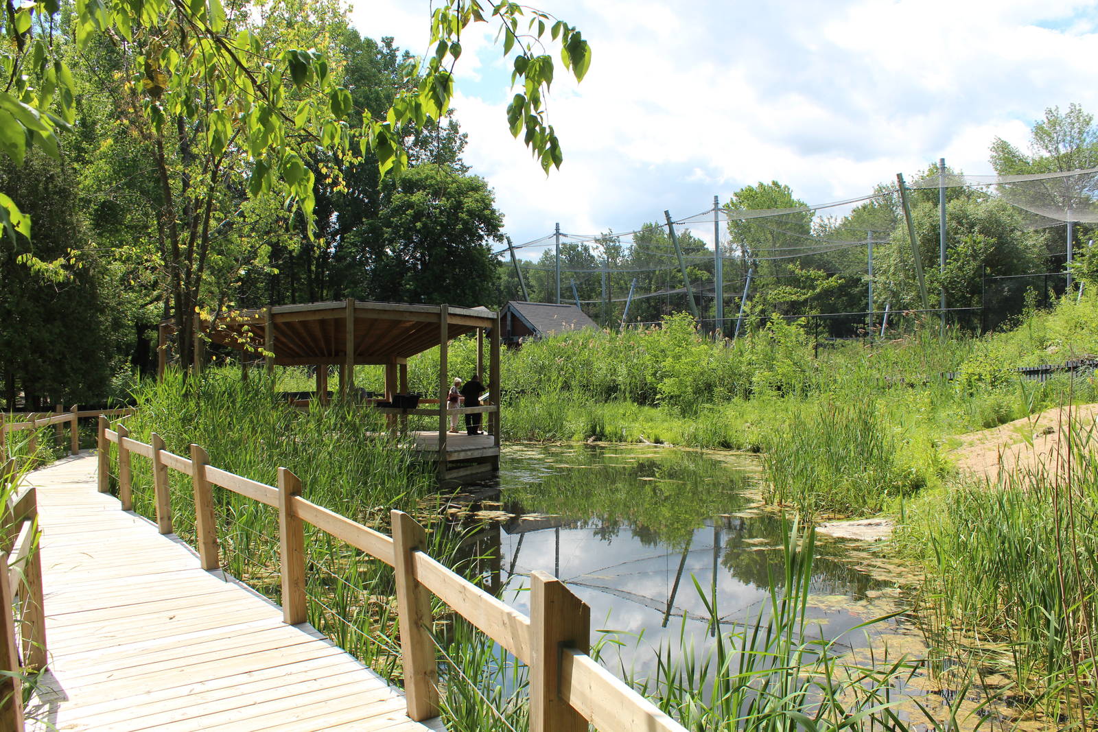 Wildfowl Aviary - June 2016
