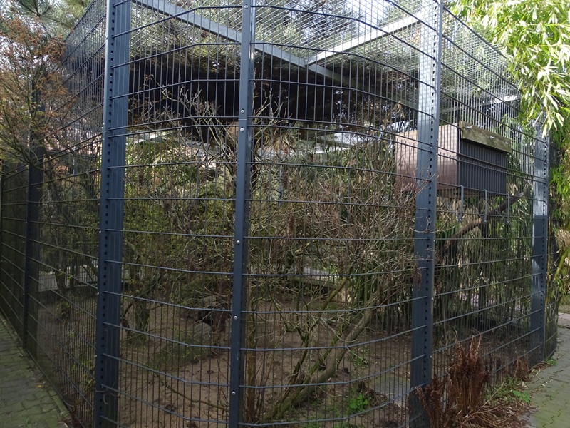 Wildkatzenzentrum Felidae - binturong enclosure