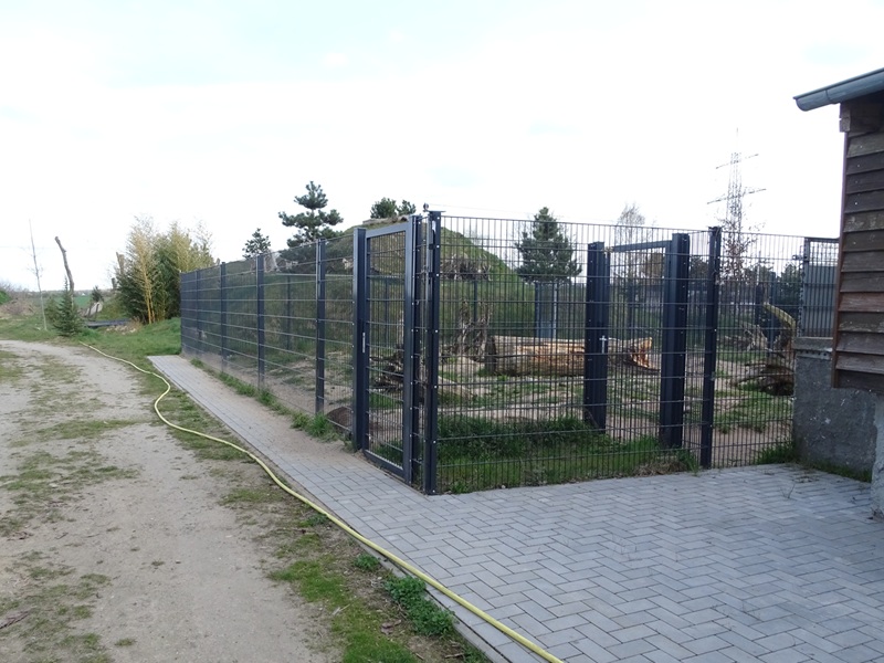 Wildkatzenzentrum Felidae - brown hyena enclosure