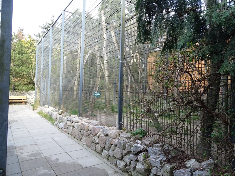 Wildkatzenzentrum Felidae - Male black leopard enclosure