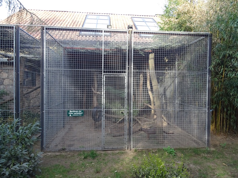 Wildkatzenzentrum Felidae - second fossa enclosure