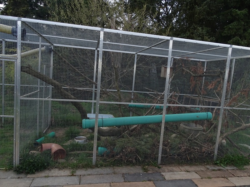 Wildkatzenzentrum Felidae - Siberian weasel enclosure