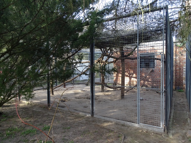 Wildkatzenzentrum Felidae - tayra enclosure