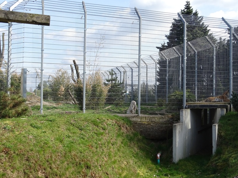 Wildkatzenzentrum Felidae - tiger enclosure