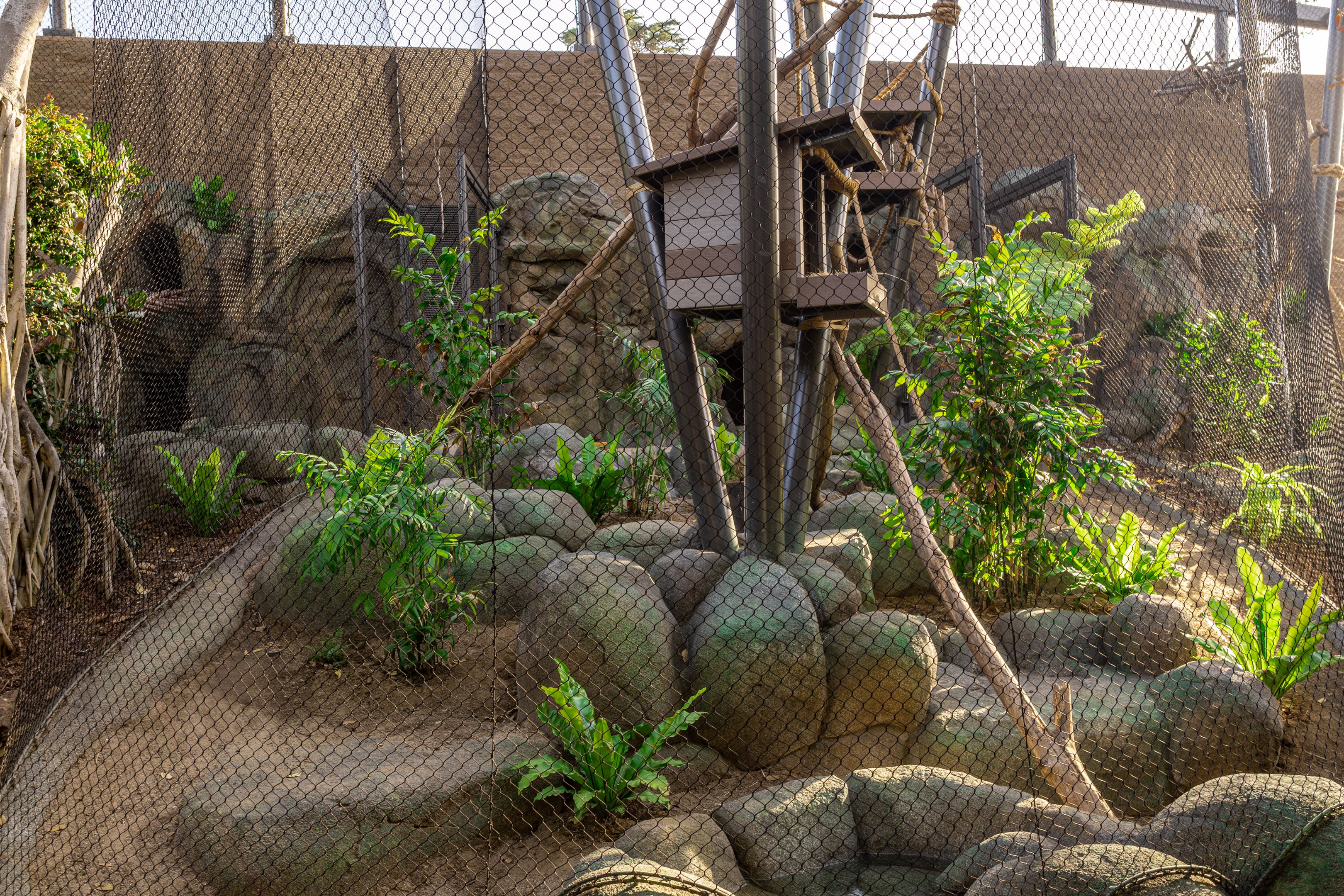 Wildlife Ambassadors Middle Habitat(ground level)