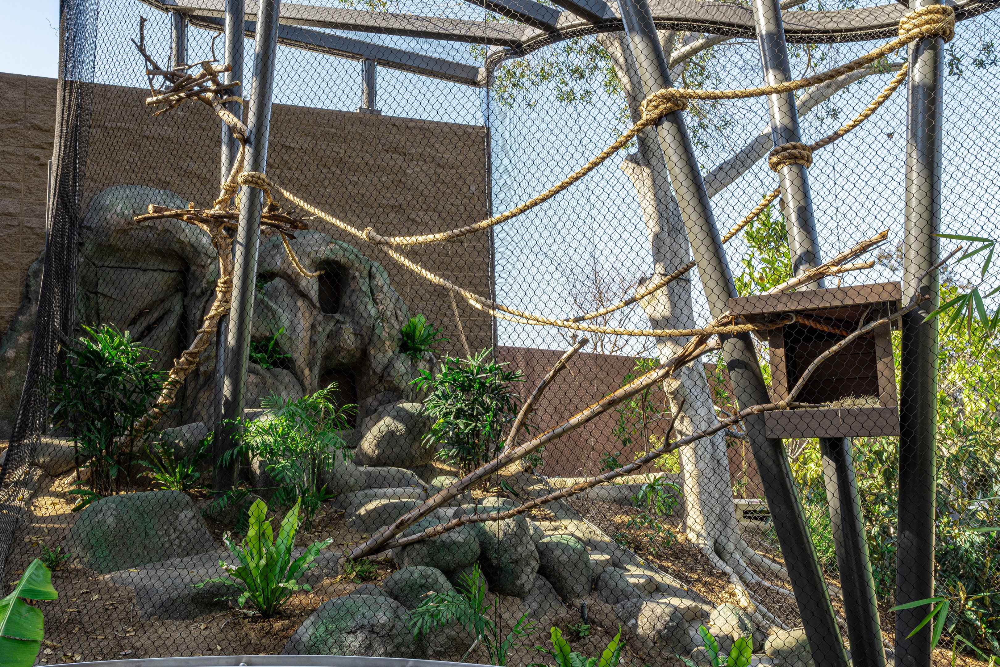 Wildlife Ambassadors Right Side Habitat(ground level)