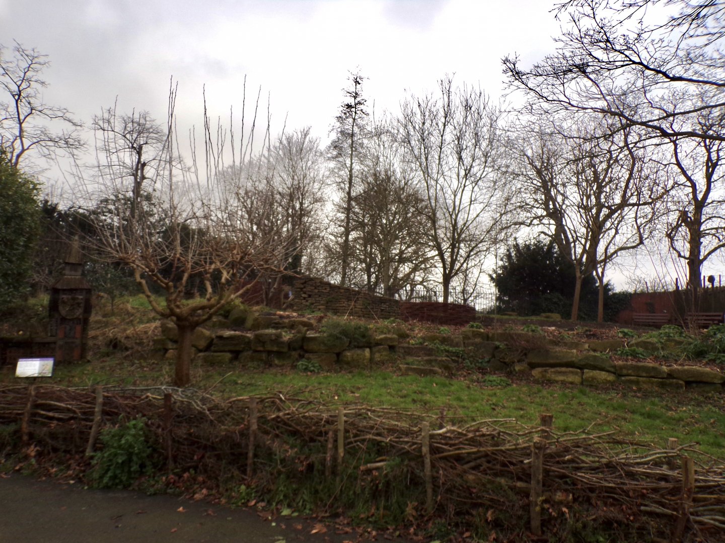 Wildlife area 11.2.25