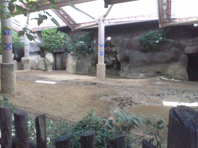 Wildlife Canyon- 1 of 2 Sumatran Rhino exhibts