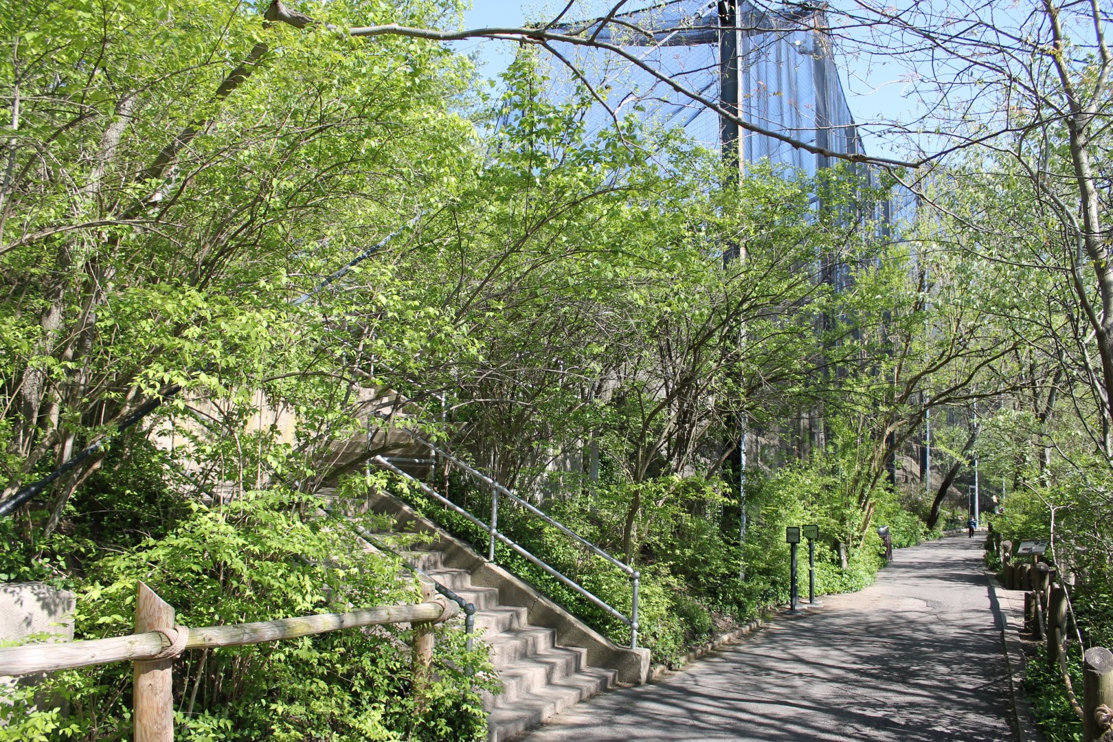 Wildlife Canyon/Eagle Eyrie Pathway & Staircase