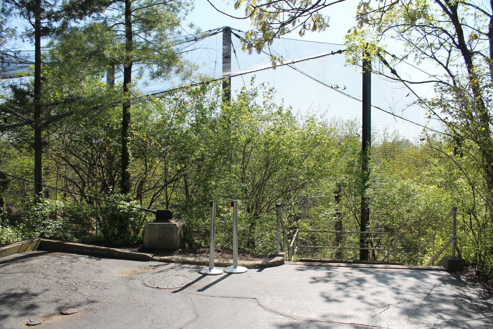 Wildlife Canyon/Eagle Eyrie Staircase Entrance