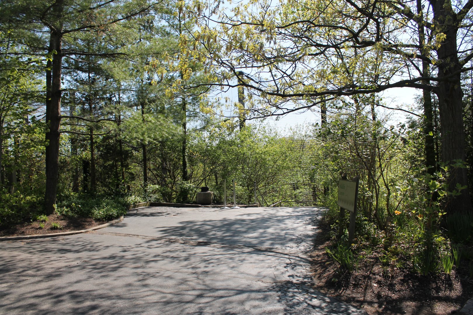 Wildlife Canyon/Eagle Eyrie Staircase Entrance