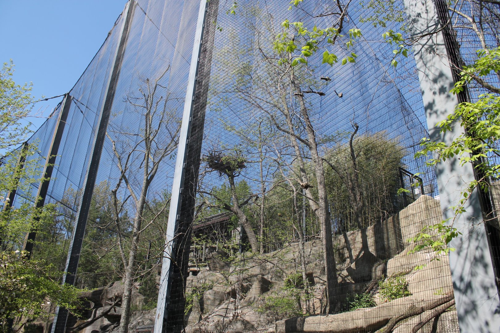 Wildlife Canyon/Eagle Eyrie- Steller's Sea Eagle Exhibit