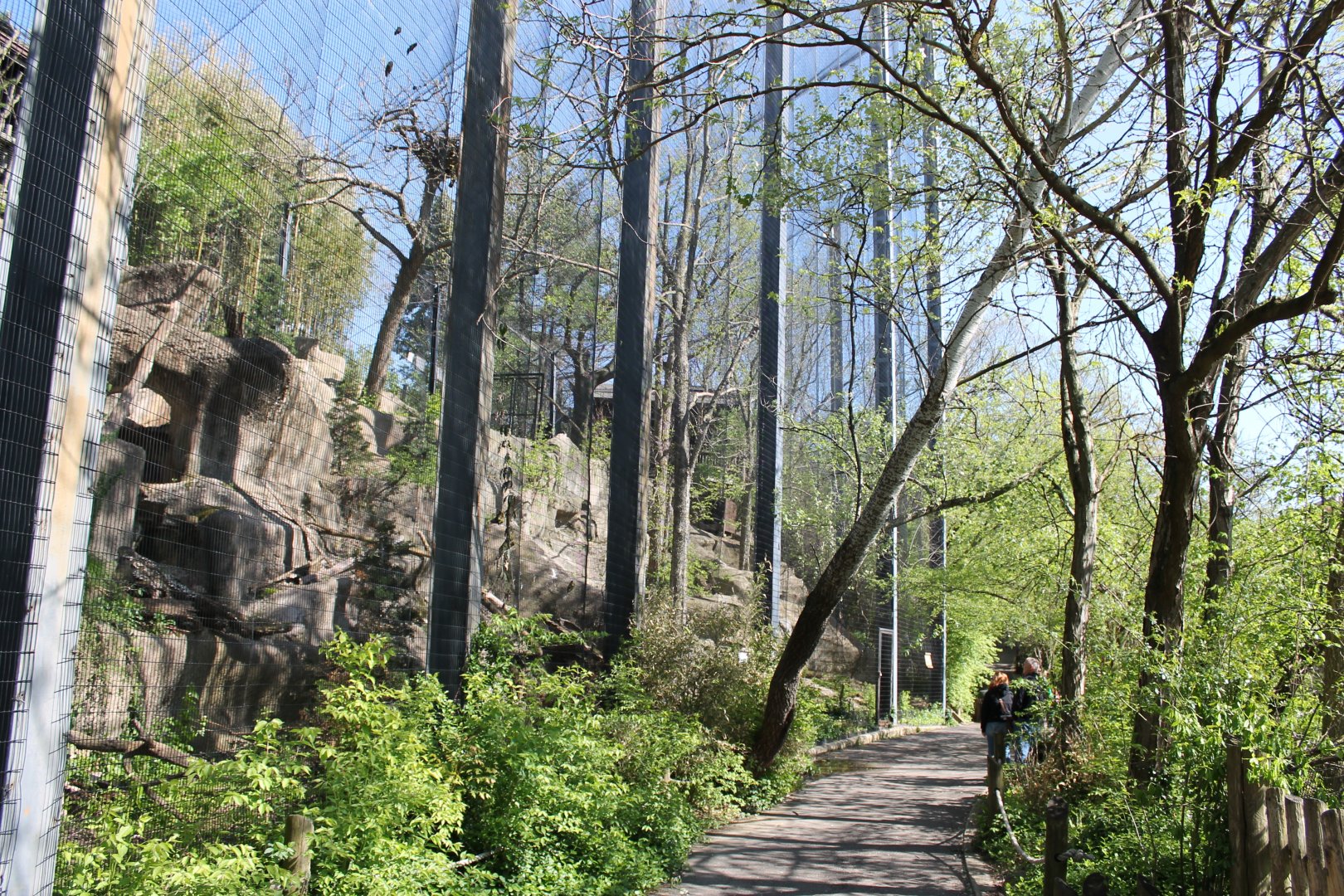 Wildlife Canyon/Eagle Eyrie- Steller's Sea Eagle Exhibit