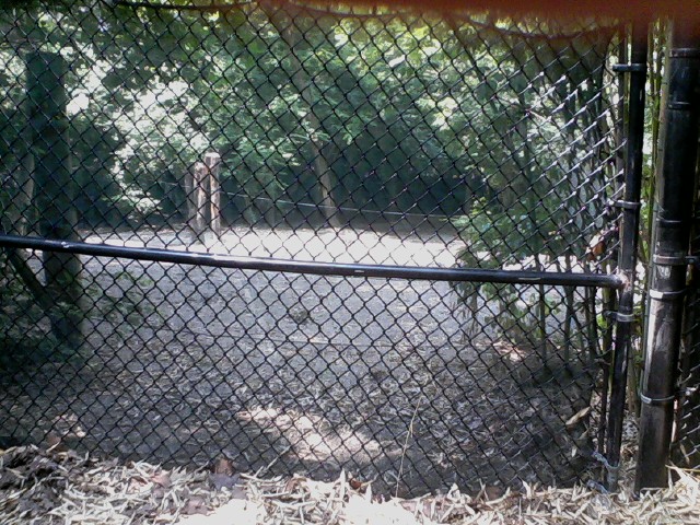 Wildlife Canyon- Empty exhibit next to the Sumatran Rhino exhibit
