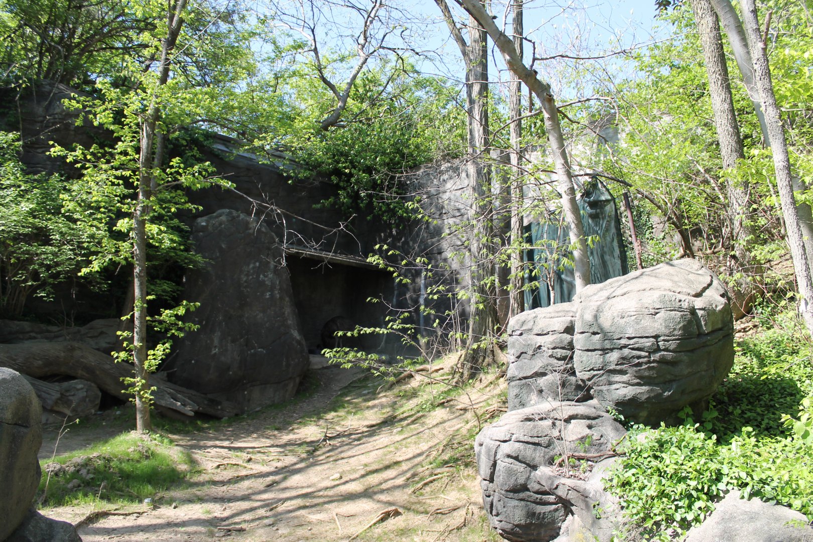 Wildlife Canyon- Emu Exhibit