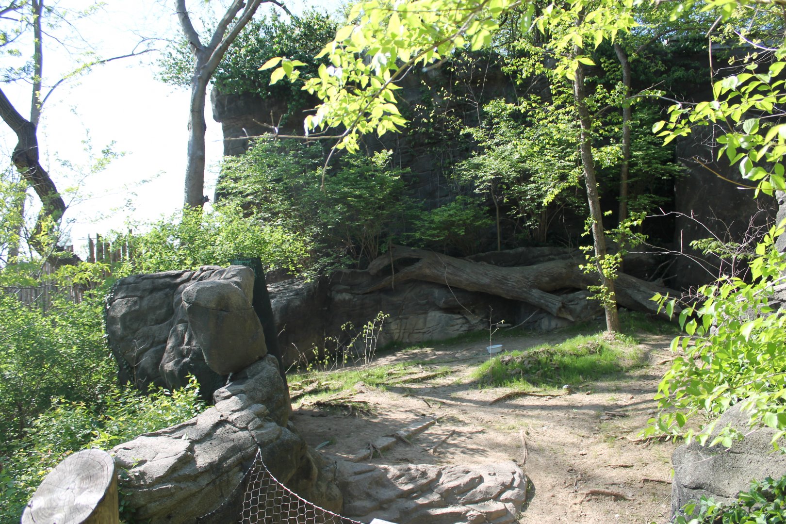 Wildlife Canyon- Emu Exhibit