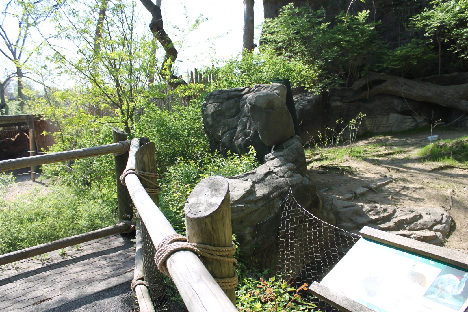 Wildlife Canyon- Emu Exhibit