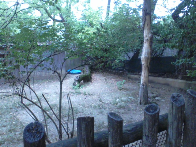 Wildlife Canyon- Emu yard 2