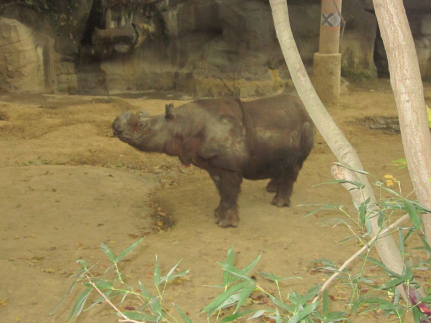 Wildlife Canyon-Ipuh