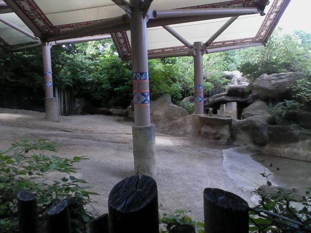 Wildlife Canyon- Second Sumatran Rhino exhibit