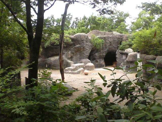 Wildlife Canyon- Sichuan Takin Exhibit