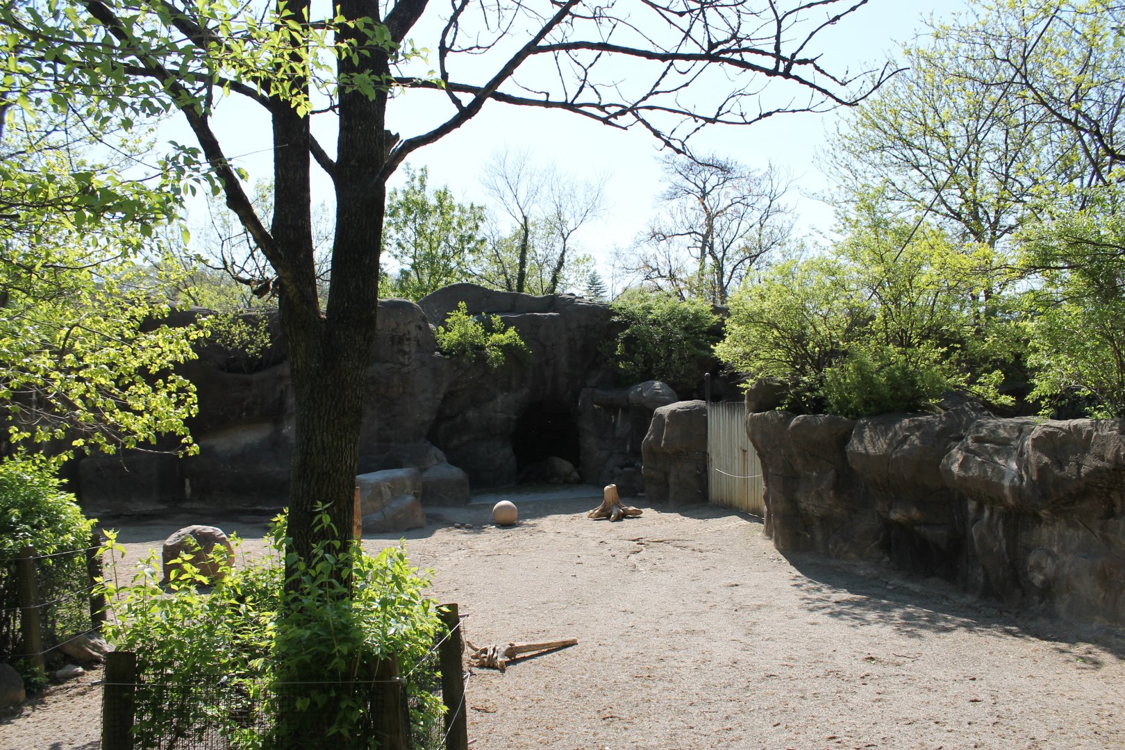 Wildlife Canyon- Sichuan Takin Exhibit
