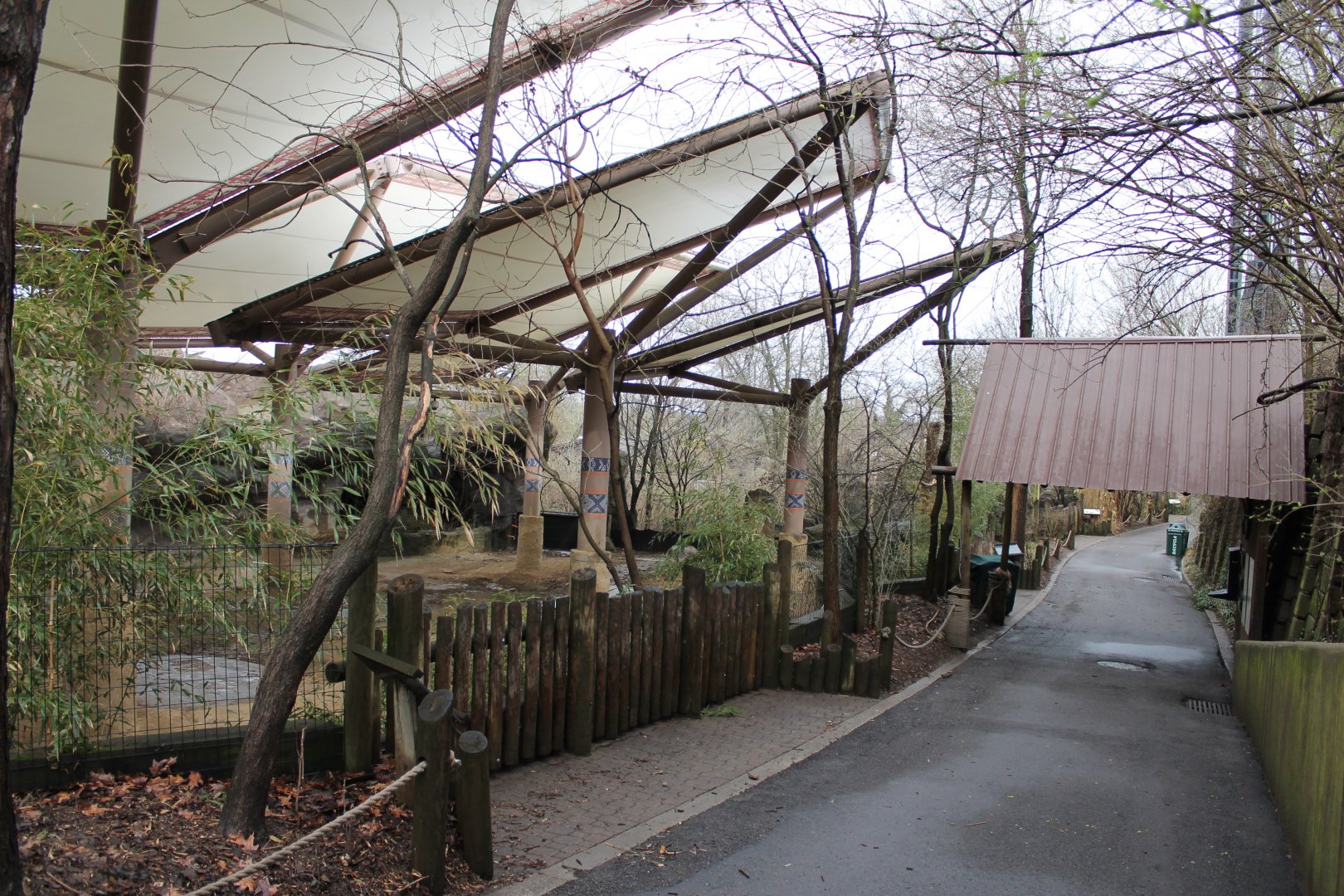 Wildlife Canyon- Sumatran Rhino Exhibit