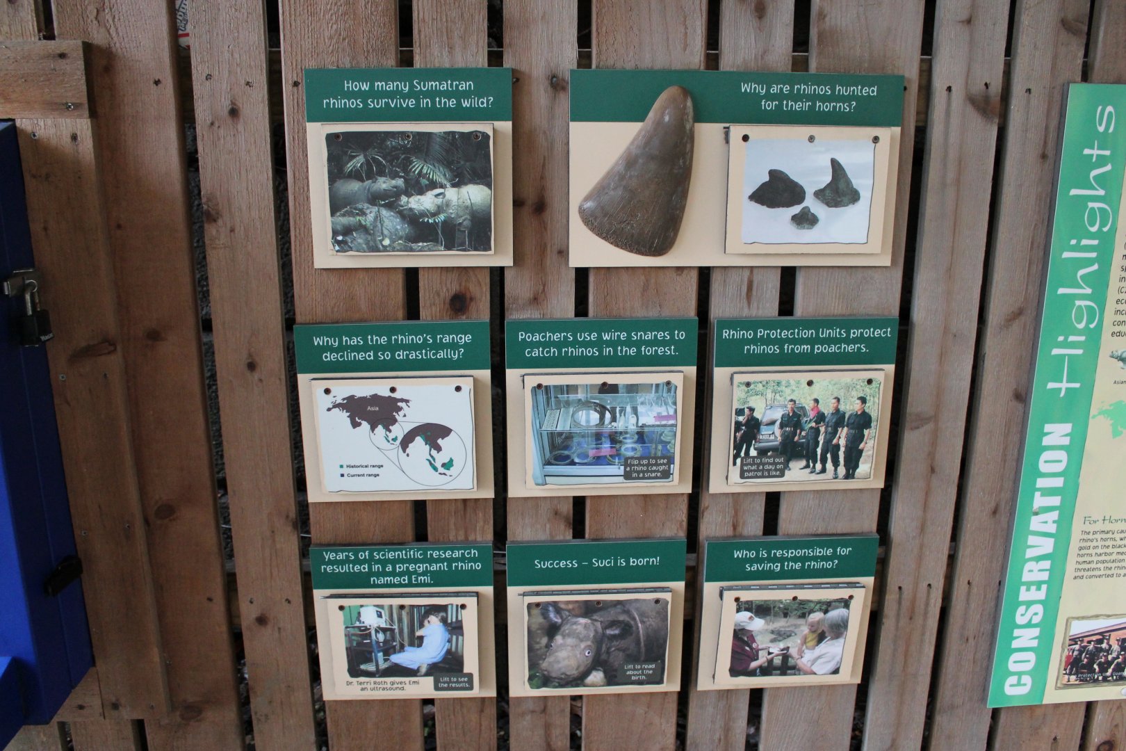 Wildlife Canyon- Sumatran Rhino Exhibit