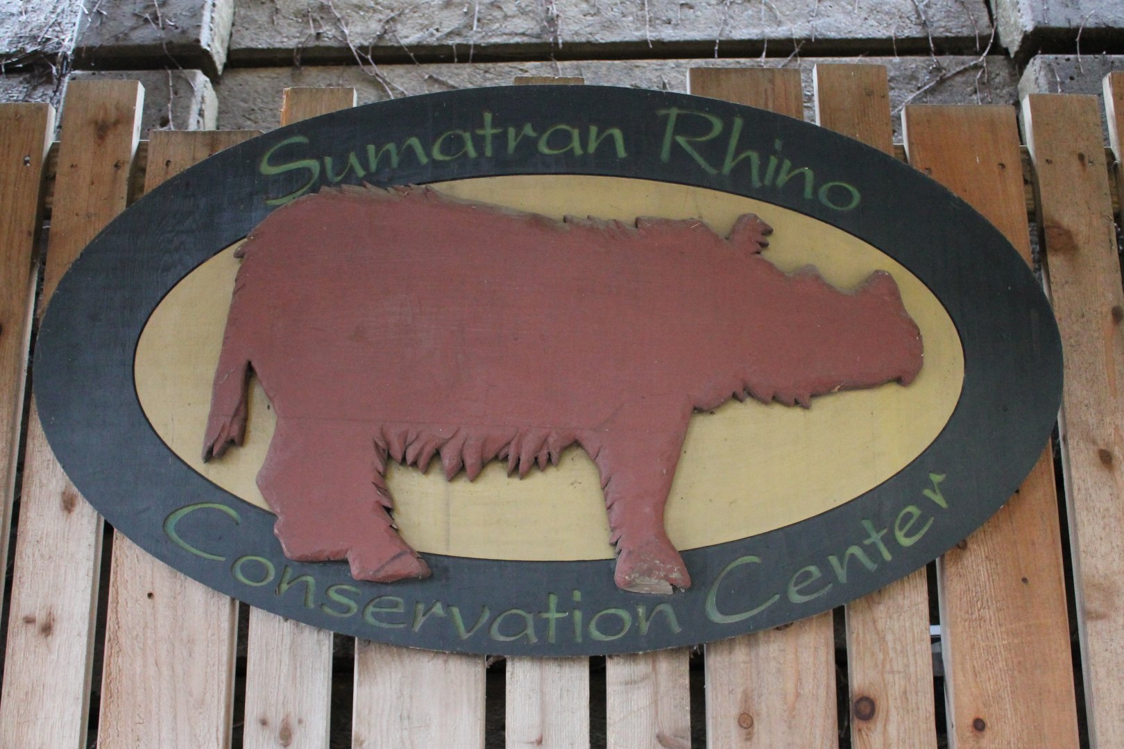 Wildlife Canyon- Sumatran Rhino Exhibit