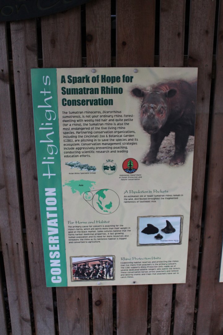 Wildlife Canyon- Sumatran Rhino Exhibit