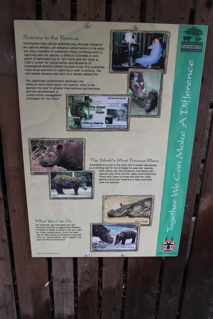 Wildlife Canyon- Sumatran Rhino Exhibit