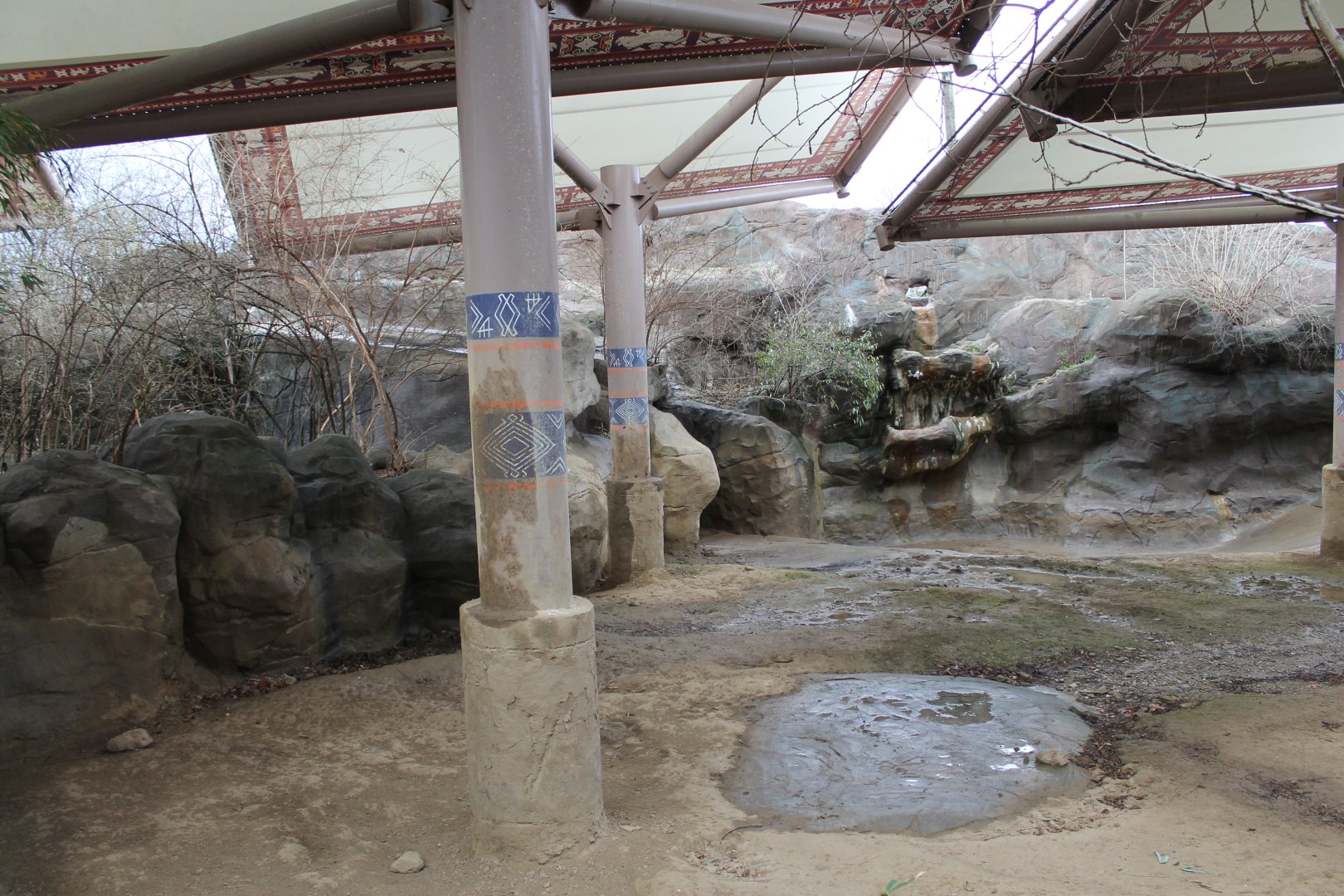 Wildlife Canyon- Sumatran Rhino Exhibit