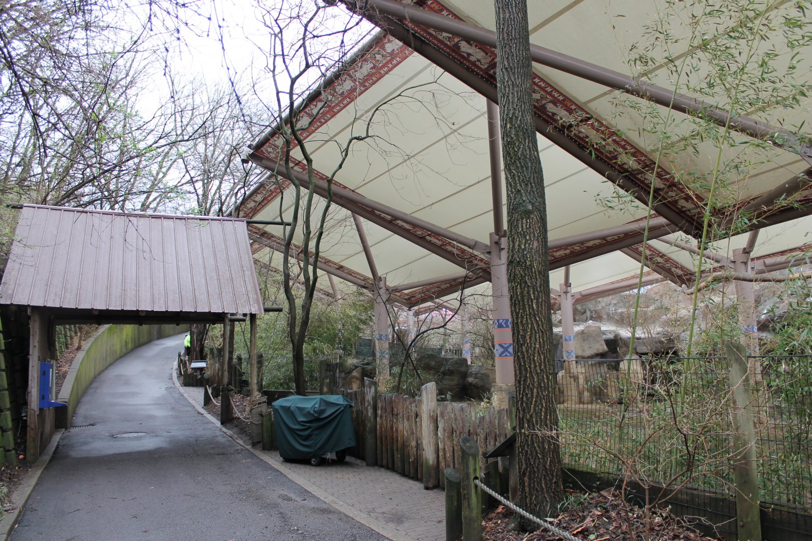 Wildlife Canyon- Sumatran Rhino Exhibit