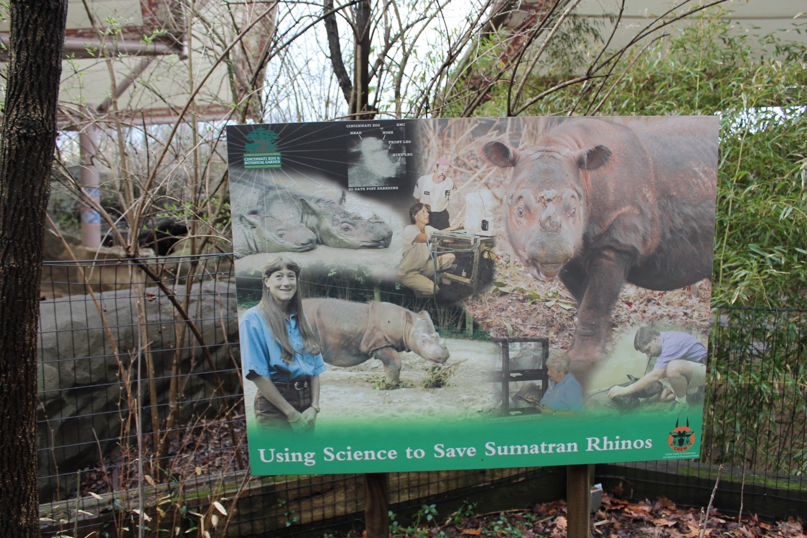 Wildlife Canyon- Sumatran Rhino Exhibit